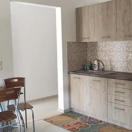 Luxury Apartment