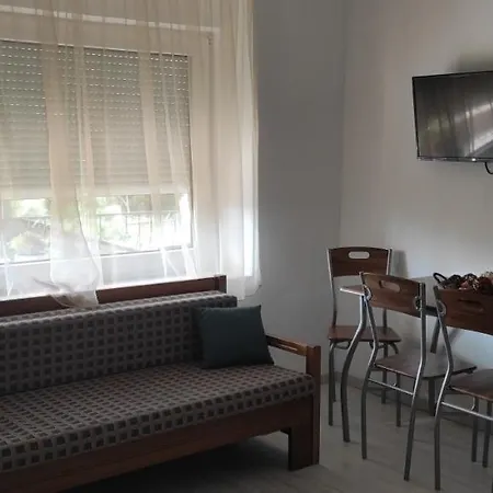 Luxury Apartment